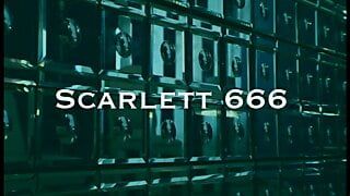 Wer Ist Die Harteste (Full Movie)